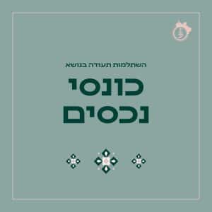 כונסי נכסים החל מ25.11.25