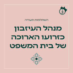 מנהל העיזבון כזרועו הארוכה של בית המשפט 08.06.26 - 06.07.26