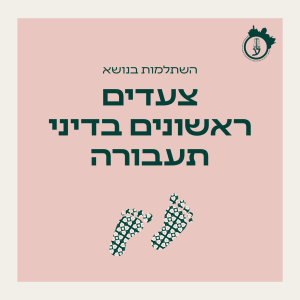 צעדים ראשונים בתעבורה 28.06.26 - 26.07.26