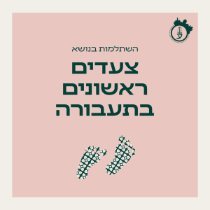 צעדים ראשונים בתעבורה 28.06.26 - 26.07.26